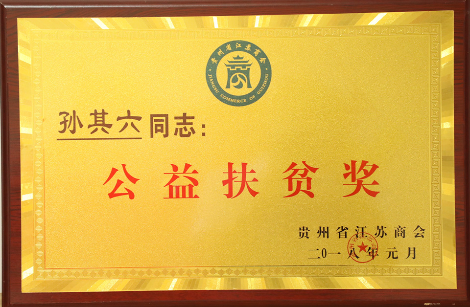 公益扶贫奖 