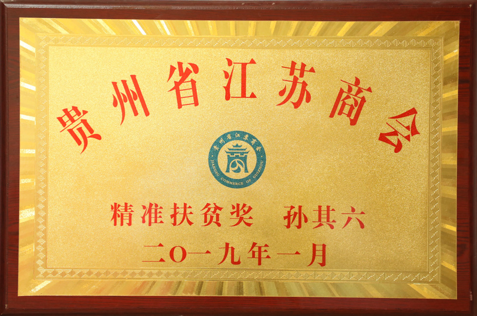 精准扶贫奖 